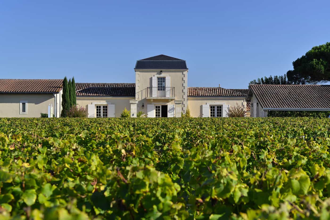 Spirit of generation Château Haut Bergeron Château Haut Bergeron