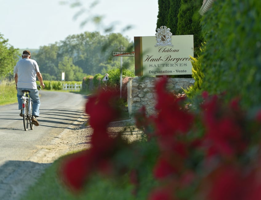 Haut-Bergeron grands vins de sauternes et Graves