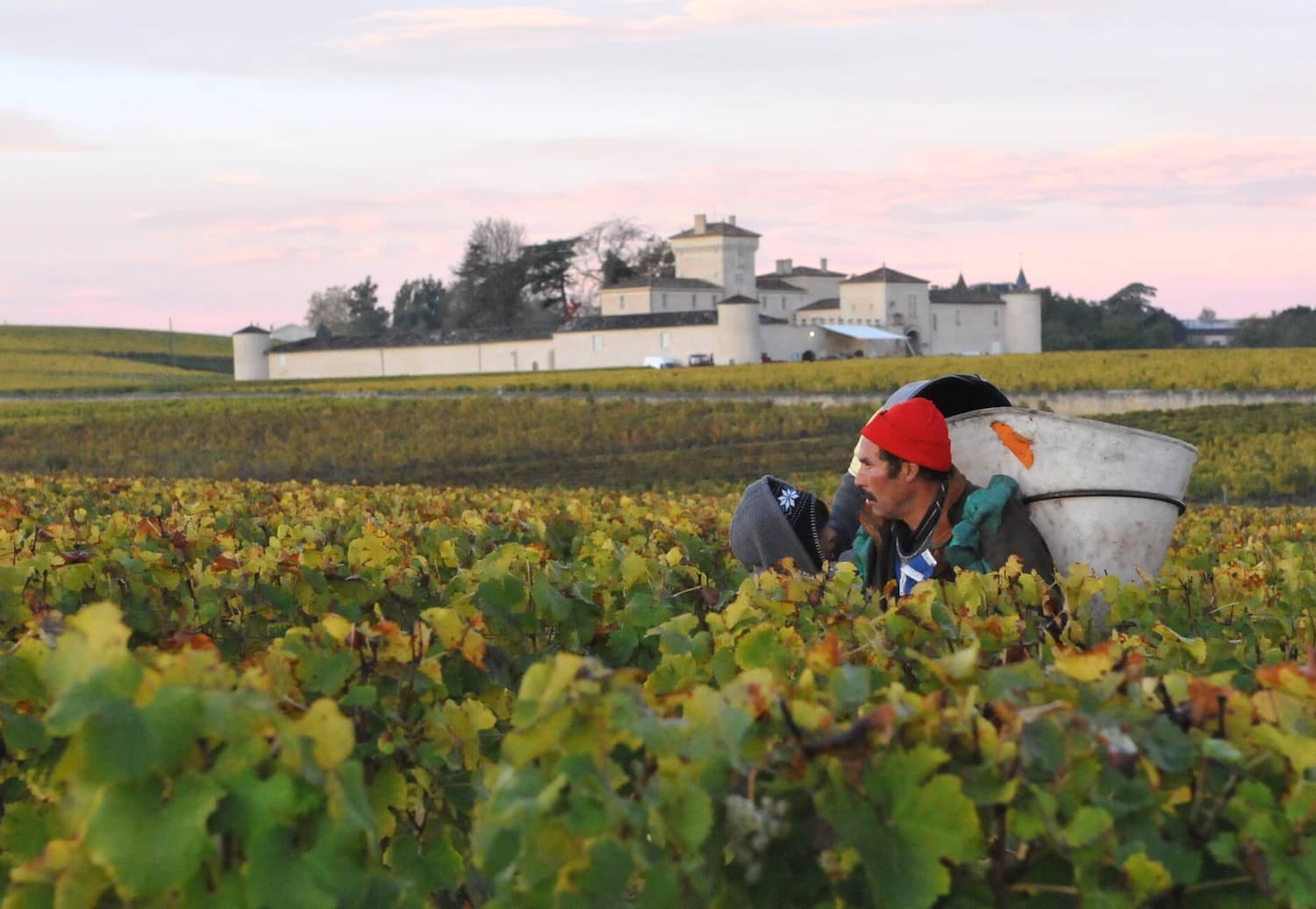 Haut-Bergeron grands vins de sauternes et Graves